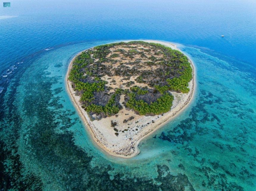 في محمية الوعول.. تفاصيل لقاء نقل الخبرات بين "الحياة الفطرية" والمحميات