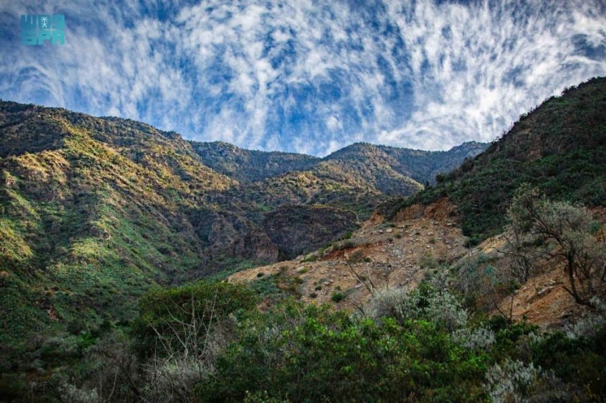 في محمية الوعول.. تفاصيل لقاء نقل الخبرات بين "الحياة الفطرية" والمحميات