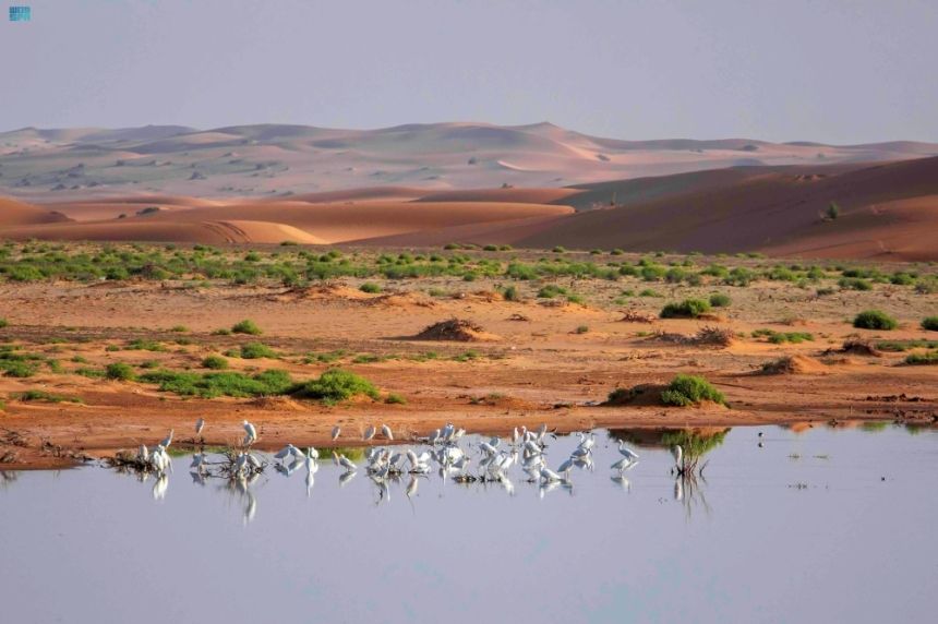في محمية الوعول.. تفاصيل لقاء نقل الخبرات بين "الحياة الفطرية" والمحميات