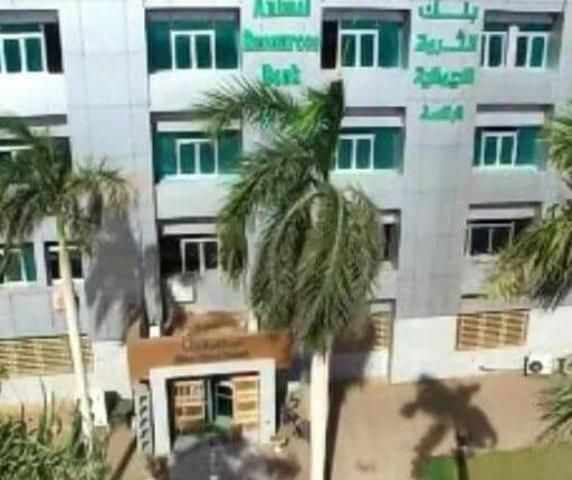 رئيس لجنة مُساهمي بنك الثروة: محافظ بنك السودان يسعى لتغطية ما يتم من ممارسات في حسابات الدعم السريع وأسهمها بالبنك التي تجاوزت 60%