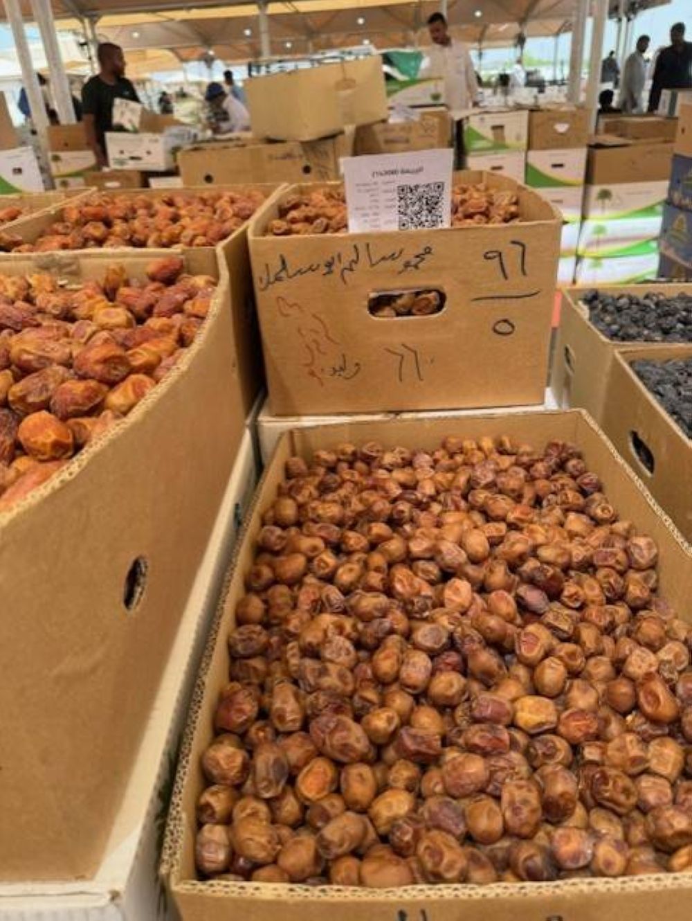 حراج المدينة المنورة يودع الرطب ويستقبل التمور