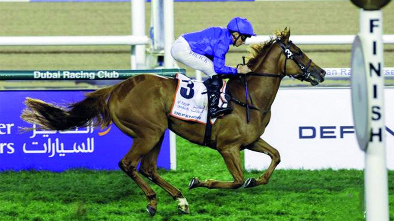 الامارات | «بيوتيفول لاف» تنشد لقب سباق «ليك بلاسيد ستيكس»