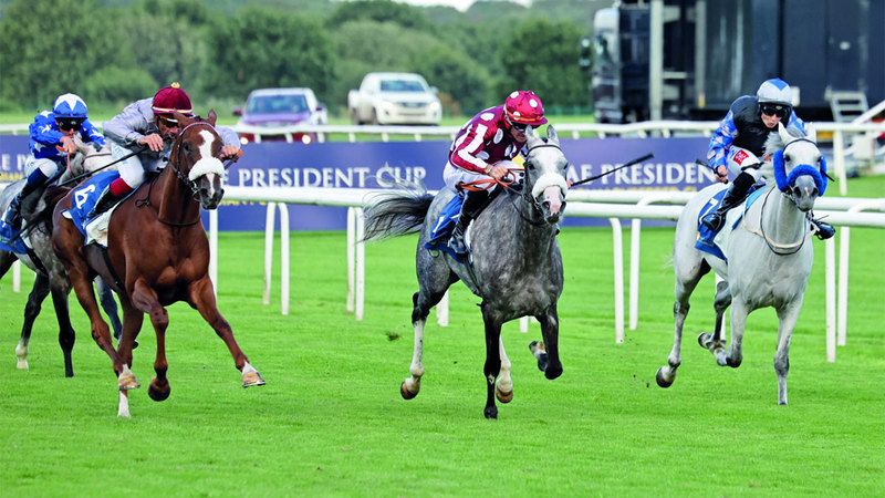 الامارات | نخبة الأبطال في كأس رئيس الدولة للخيول العربية يتنافسون على مضمار «دونكاستر»     