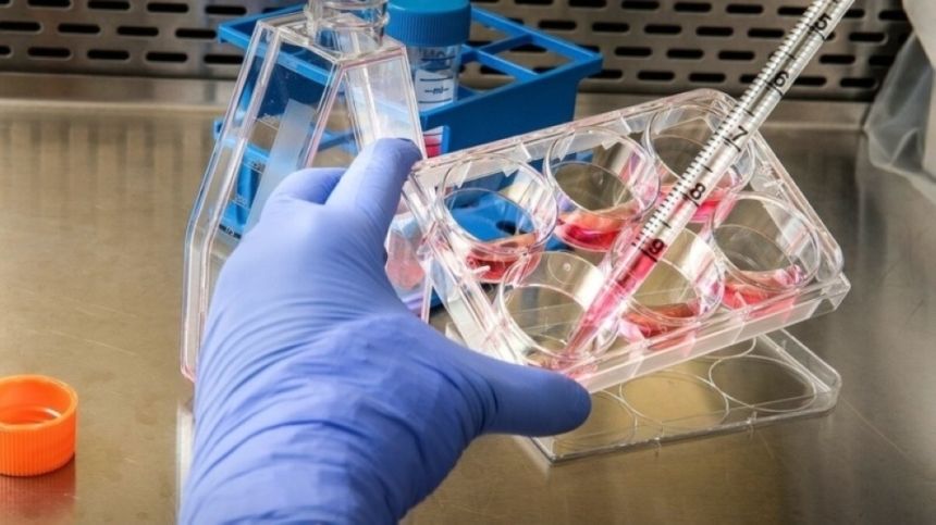 "وقاية": المملكة خالية من جدري القرود.. والنظام الصحي جاهز لمواجهة أي طارئ