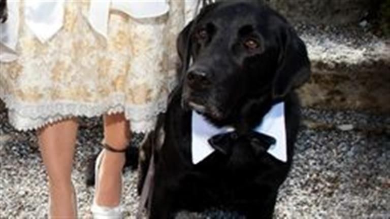 واقعة أغرب من الخيال.. لن تتوقع ما فعلته فتاة في زفاف شقيقتها