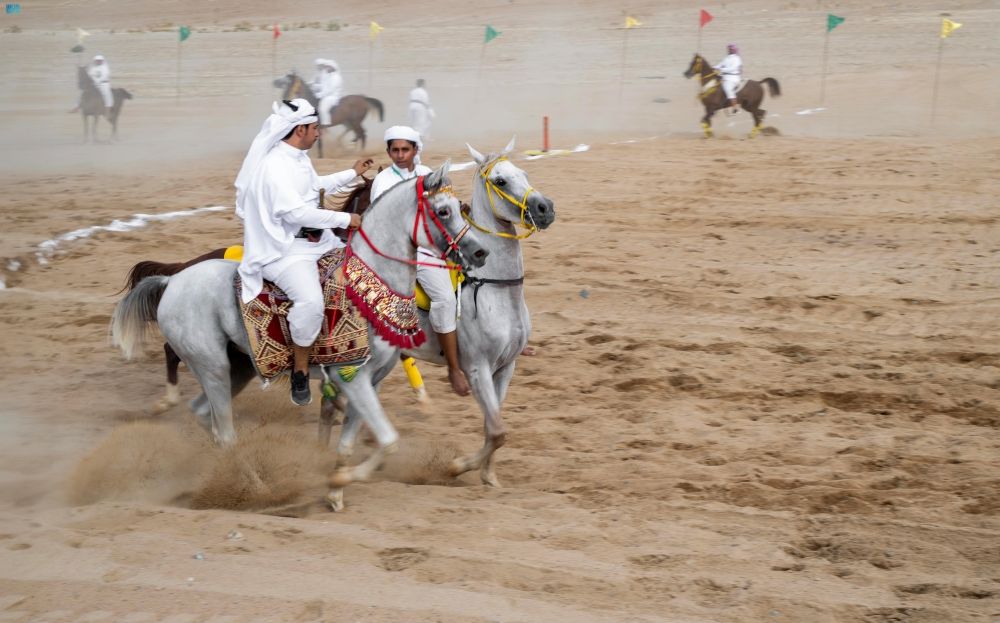 نصف مليون ريال أقصى عقوبة في مخالفات "الفروسية" بالخيل العربية الأصيلة
