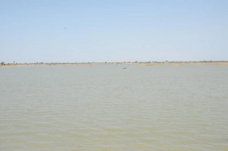 بولندا تعلن الحرب على الطحالب السامة بعد نفوق أطنان من الأسماك