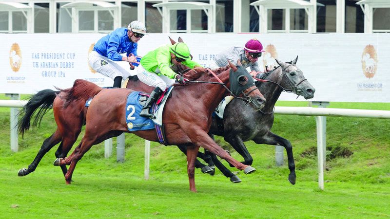 الامارات | المهر «لوسيل» بطل كأس رئيس الدولة للخيول العربية في بريطانيا