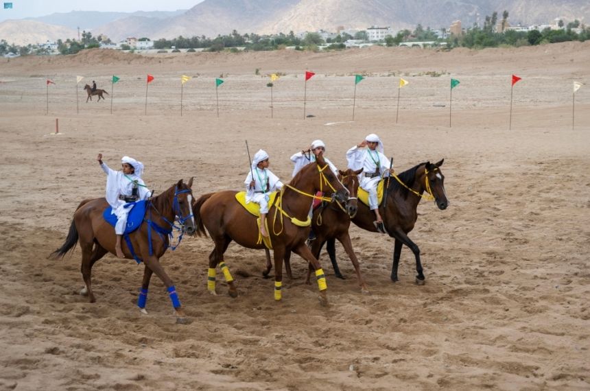 13 مخالفة في تسجيل الخيل العربية الأصيلة.. والغرامة تصل لـ 500 ألف ريال