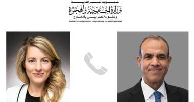 وزير الخارجية يؤكد ضرورة تكاتف المجتمع الدولى للتوصل لوقف إطلاق النار فى غزة