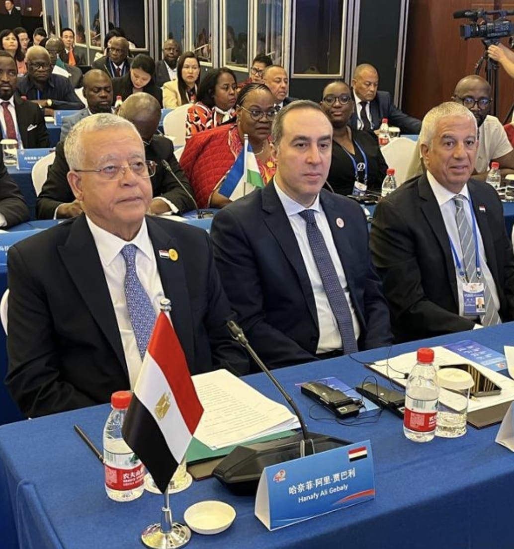 رئيس مجلس النواب أمام برلمانات الدول النامية: السلام العالمى يواجه تحديات