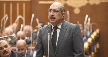 رئيس برلمانية الشعب الجمهورى: إحالة توصيات الحبس الاحتياطى للحكومة يعزز من حقوق الإنسان