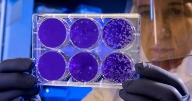 تكنولوجيا: دراسة: تغير المناخ قد يجعل أقدم الكائنات الحية الدقيقة على الأرض مهيمنة فى المحيطات