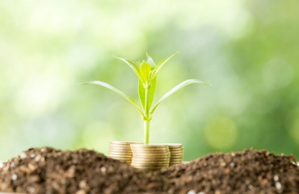 "البيئة" تطرح فرص استثمار زراعية بعسير