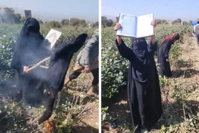 الخليج اليوم .. شاهد: يمنية "تحرق خمارها" احتجاجا على اعتداء الحوثيين على أرضها الزراعية