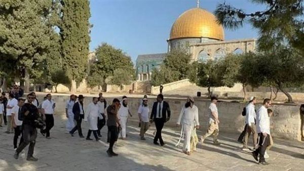 مستوطنون يقتحمون المسجد الأقصى تحت حراسة شرطة الاحتلال