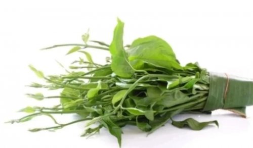 أقوى مليون مرة من إبر الانسولين.. عشبة سحرية خارقة تخفض مستوى السكر في الدم فوراً ..جربيها الان