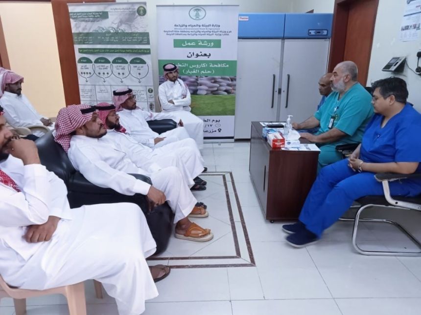 حماية للثروة الحيوانية.. تكثيف التوعية بمرض اللسان الأزرق في 4 محافظات بمكة