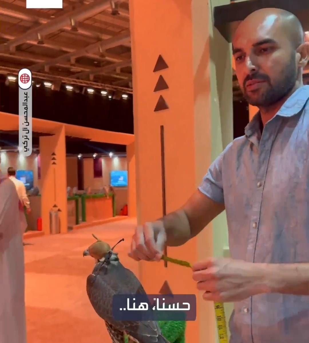 صقار إيطالي يروي قصة قدومه إلى المملكة وتحويل شغفه بالصقور إلى مشروع .. فيديو