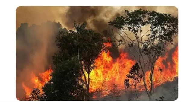 حرائق الغابات تمتد إلى 30 مدينة بالبرازيل