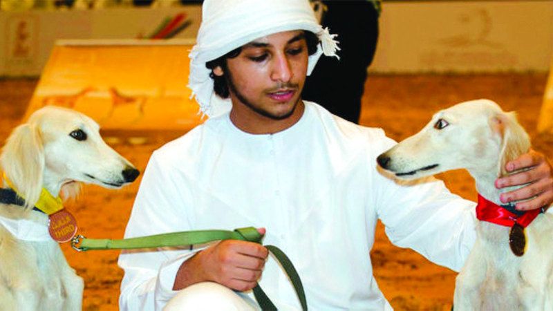 الامارات | عودة مسابقة «السلوقي العربي» في «أبوظبي للصيد والفروسية»