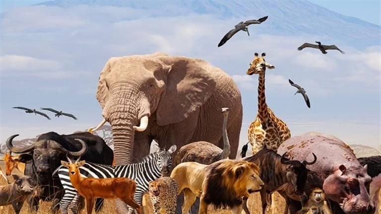 حيوان يستطيع حبس أنفاسه 6 أيام ودون طعام لمدة عام- ماهو؟