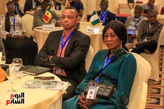 نائب وزير الكهرباء: الاستخدامات السلمية للطاقة الذرية ساهمت في تنمية المجتمع