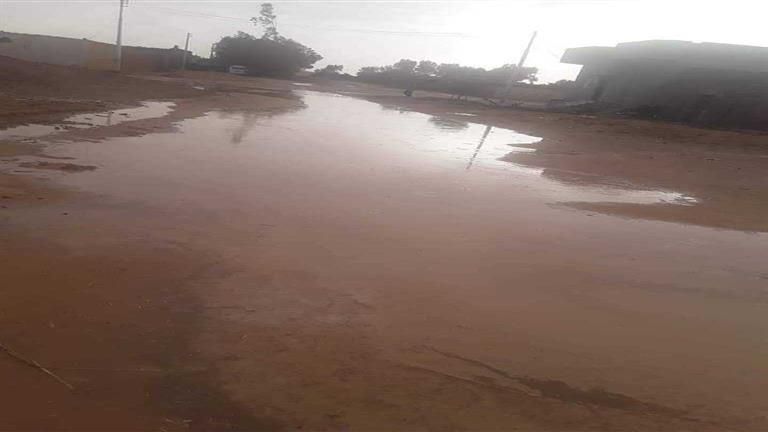 أمطار رعدية والحرارة تصل لـ 42.. توقعات حالة الطقس اليوم