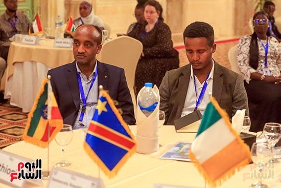 نائب وزير الكهرباء: الاستخدامات السلمية للطاقة الذرية ساهمت في تنمية المجتمع