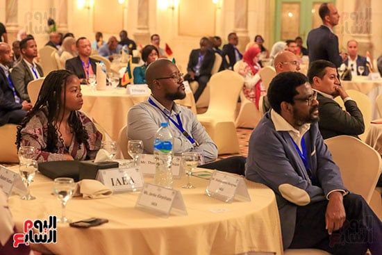 نائب وزير الكهرباء: الاستخدامات السلمية للطاقة الذرية ساهمت في تنمية المجتمع