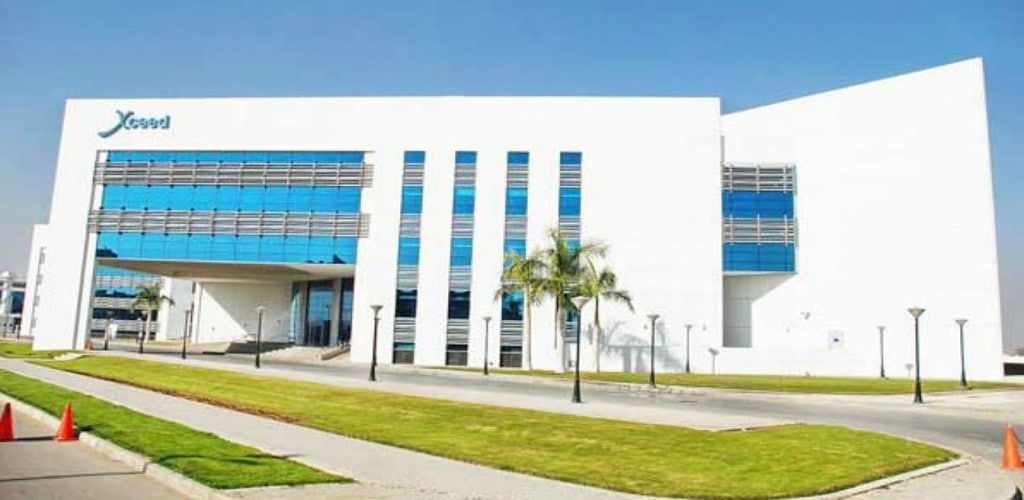 برواتب مجزية فرص عمل بشركة أكسيد مصر للاتصالات للمؤهلات العليا