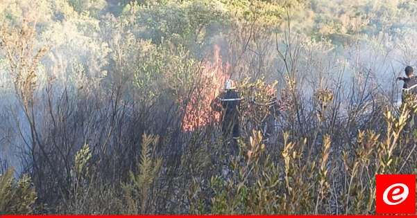 اندلاع حريق في منطقة حراجية على الحدود الجزائرية التونسية