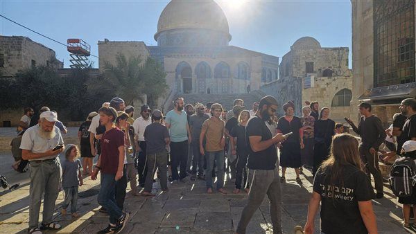 تحت حماية شرطة الاحتلال.. مستعمرون يقتحمون المسجد الأقصى ويقومون بجولات استفزازية
