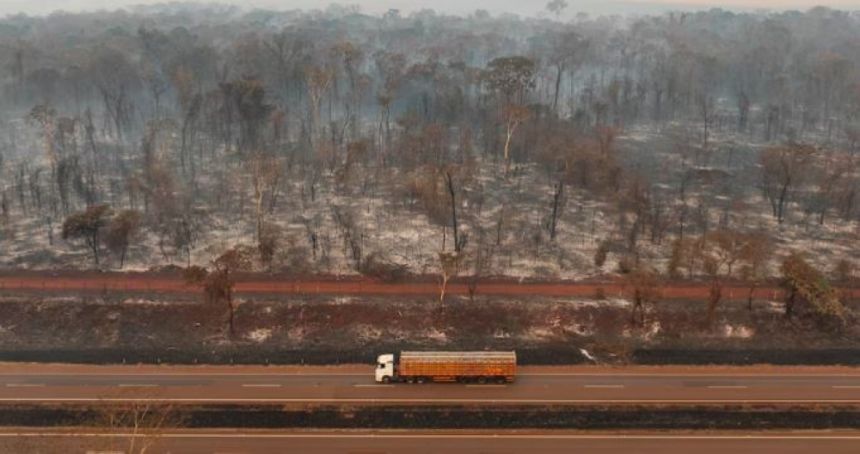 ساو باولو تعلن الطوارئ وسط الحرائق و15 ألف رجل إطفاء لمكافحة النيران