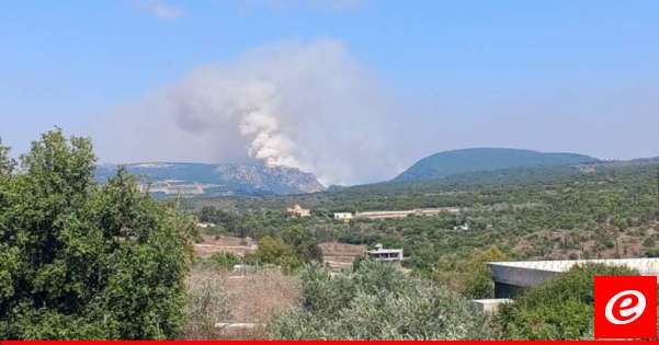 "النشرة": قصف مدفعي إسرائيلي استهداف أطراف بلدات طيرحرفا وشمع والناقورة