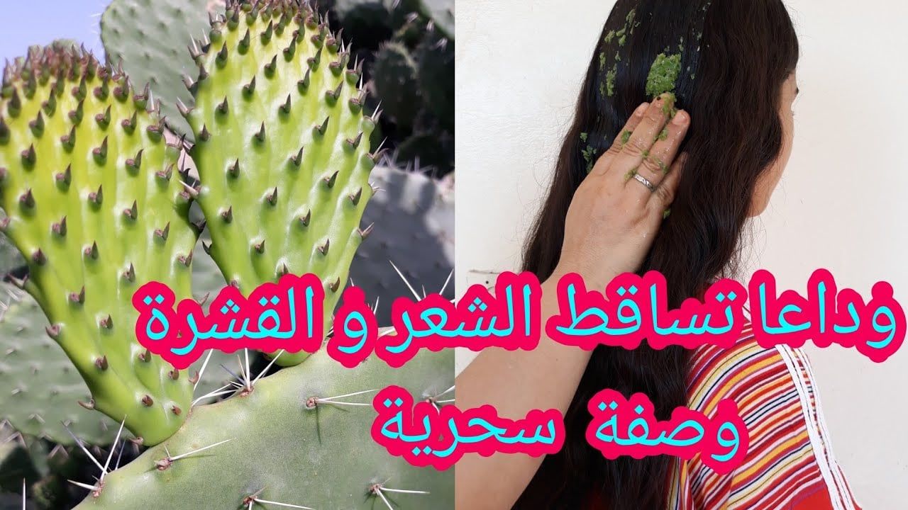 ماسك جل الصبار السحري لوقف تساقط الشعر بفوائده الجبارة شعرك هيكون كثيف وصحي