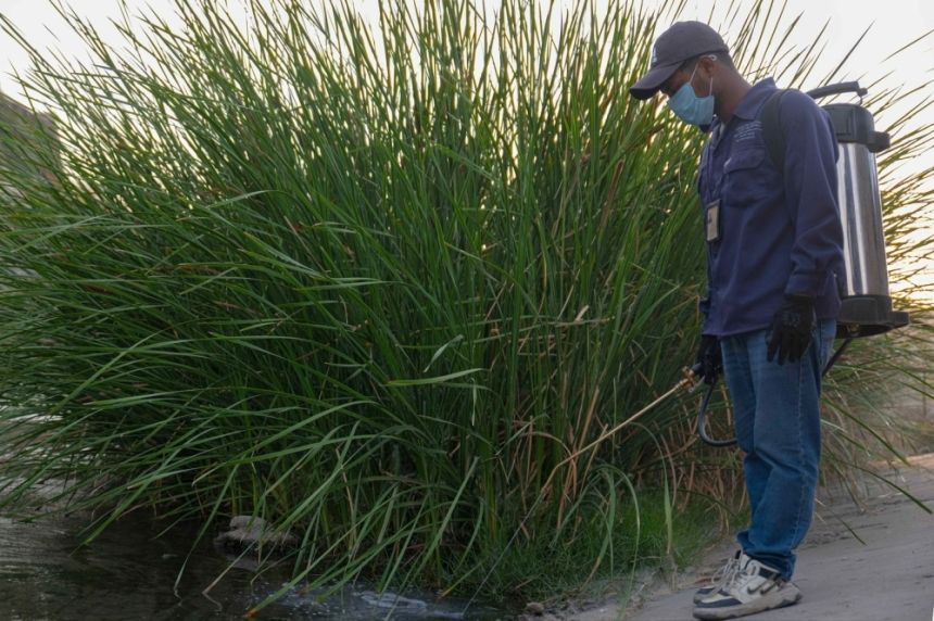 30 فرقة بلدية تكافح آفات الصحة العامة ونواقل الأمراض بالطائف