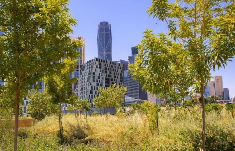 "الغطاء النباتي": بدء استقبال طلبات الاستثمار الموسمي في المتنزهات الوطنية بالرياض