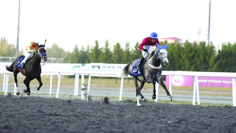 الامارات | المحطة الثامنة لكأس رئيس الدولة للخيول العربية  تنطلق في روسيا اليوم