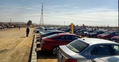 أميك: بيع 11.4 ألف سيارة خلال يوليو 2024