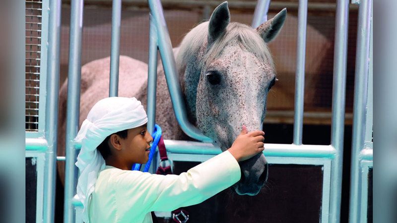 الامارات | «الصيد والفروسية 2024»: احتفال مهيب بالتراث والثقافة وروح التنافس