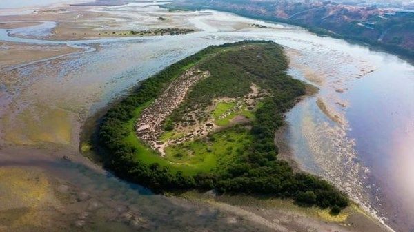 محمية خور المزاحمي... واجهة الموائل الطبيعية والتنوع البيولوجي في رأس الخيمة