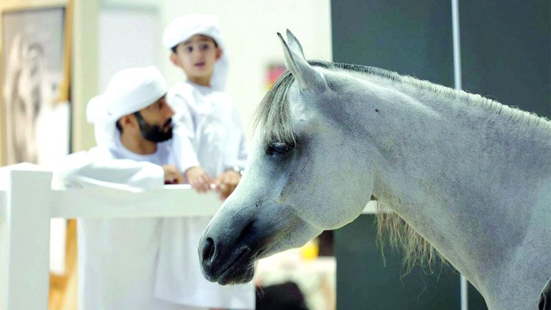 الامارات | النسخة الكبرى من «الصيد والفروسية» تنطلق اليوم