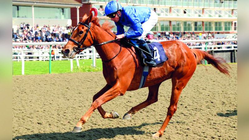 الامارات | مهرتا «غودولفين» تطلبان لقب «سبيناواي ستيكس» الأميركي