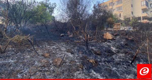 الدفاع المدني: السيطرة على حريق أعشاب وأشجار في بسابا وإنقاذ المنازل المحاصرة بالنيران