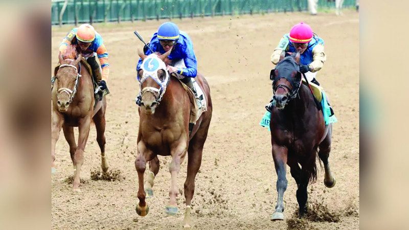 الامارات | مهر «غودولفين» يخوض تحدي الأقوياء في «جوكي كلوب غولد كب»