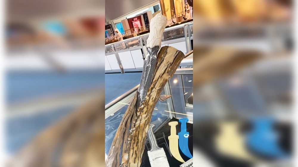 435 شركة إماراتية في «الصيد والفروسية»