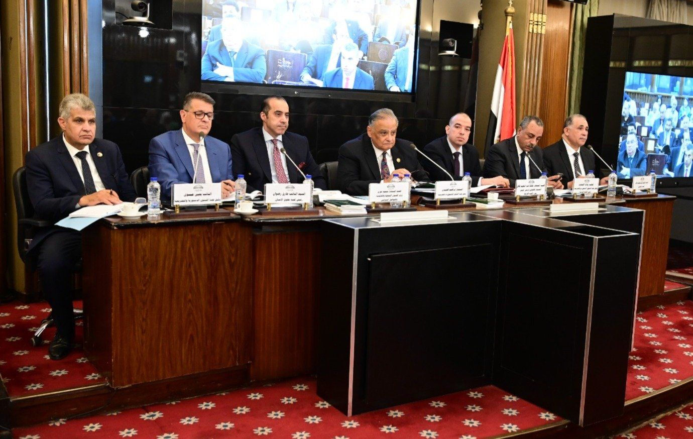 النائبة أميرة أبو شقة: علينا الفخر بخروج قانون الإجراءات الجنائية للنور