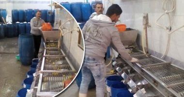 قانون تنمية المشروعات الصغيرة يمنح الشركات حوافز معينة مع توافر هذه الشروط