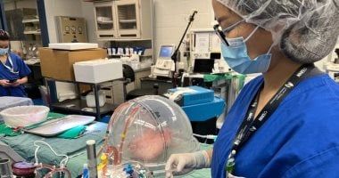 السجن وغرامة كبيرة عقوبة إجراء عملية زرع أعضاء فى منشآت طبية غير مرخصة